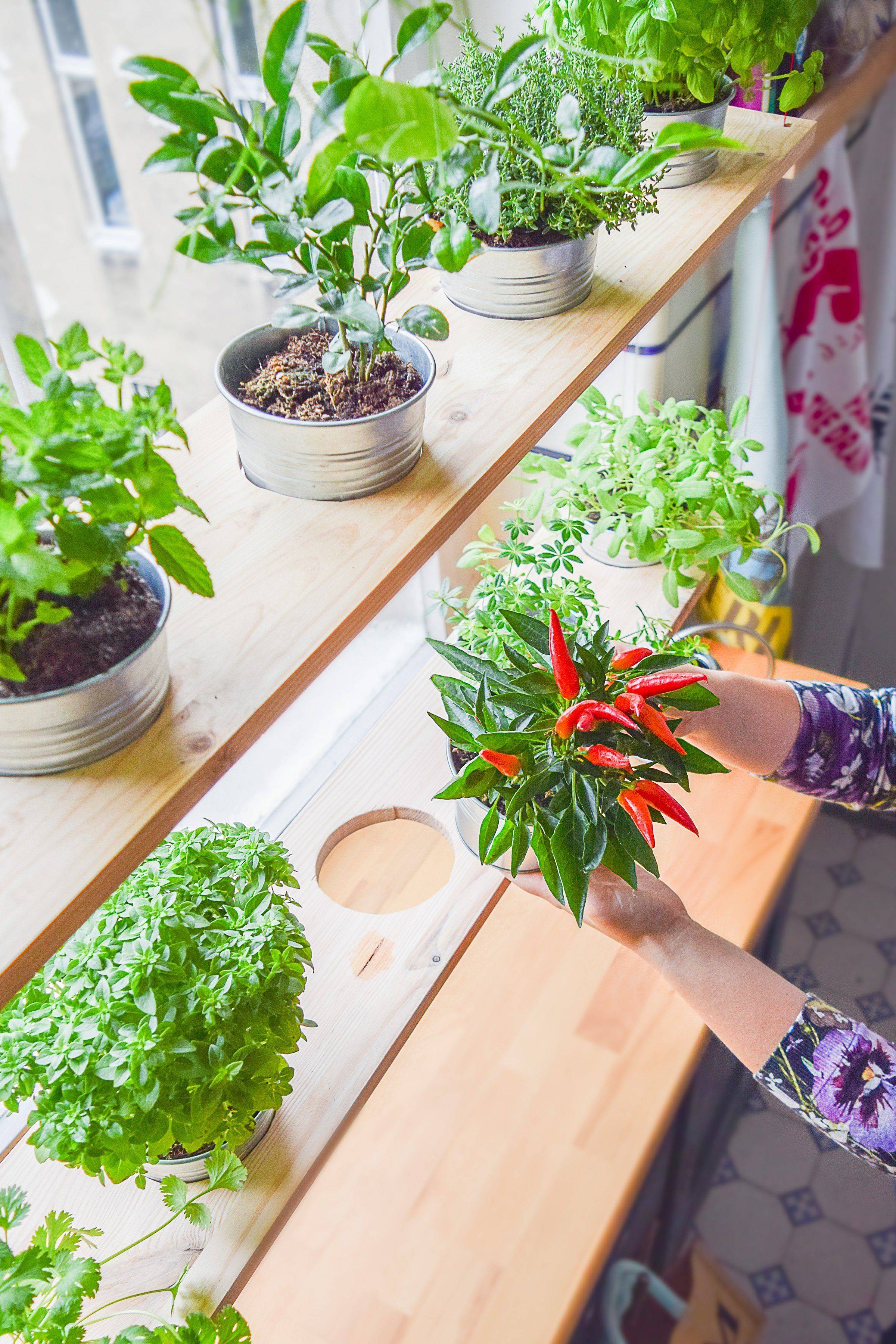 22 Kitchen Herb Garden Ideas You Cannot Miss 