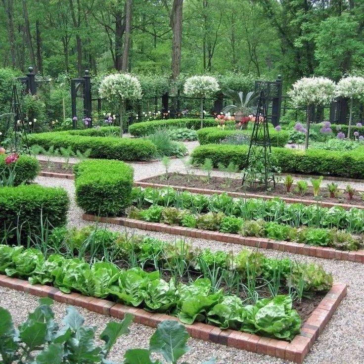 17 Easy Vegetable Garden Layout Ideas You Cannot Miss | SharonSable