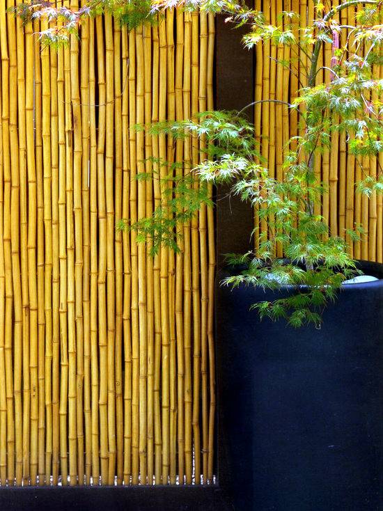 20 Bamboo Garden Wall Ideas You Should Check | SharonSable