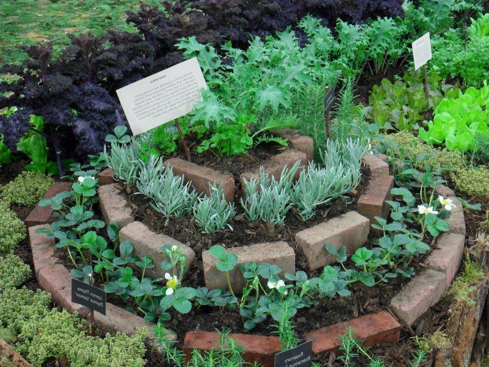 17 Edible Landscape Garden Design Ideas Worth a Look | SharonSable