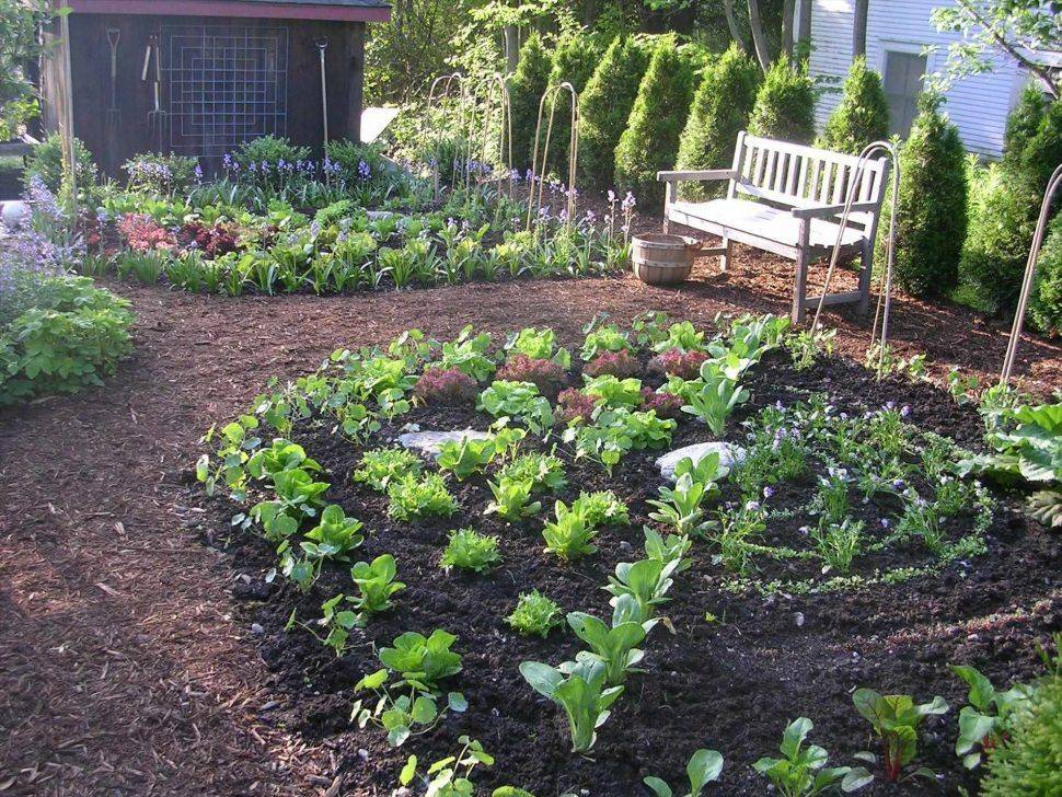 Affordable Backyard Vegetable Garden Designs Ideas Roundecor