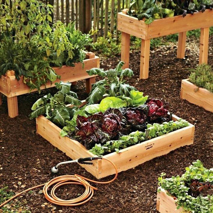 Affordable Backyard Vegetable Garden Designs Ideas Roundecor