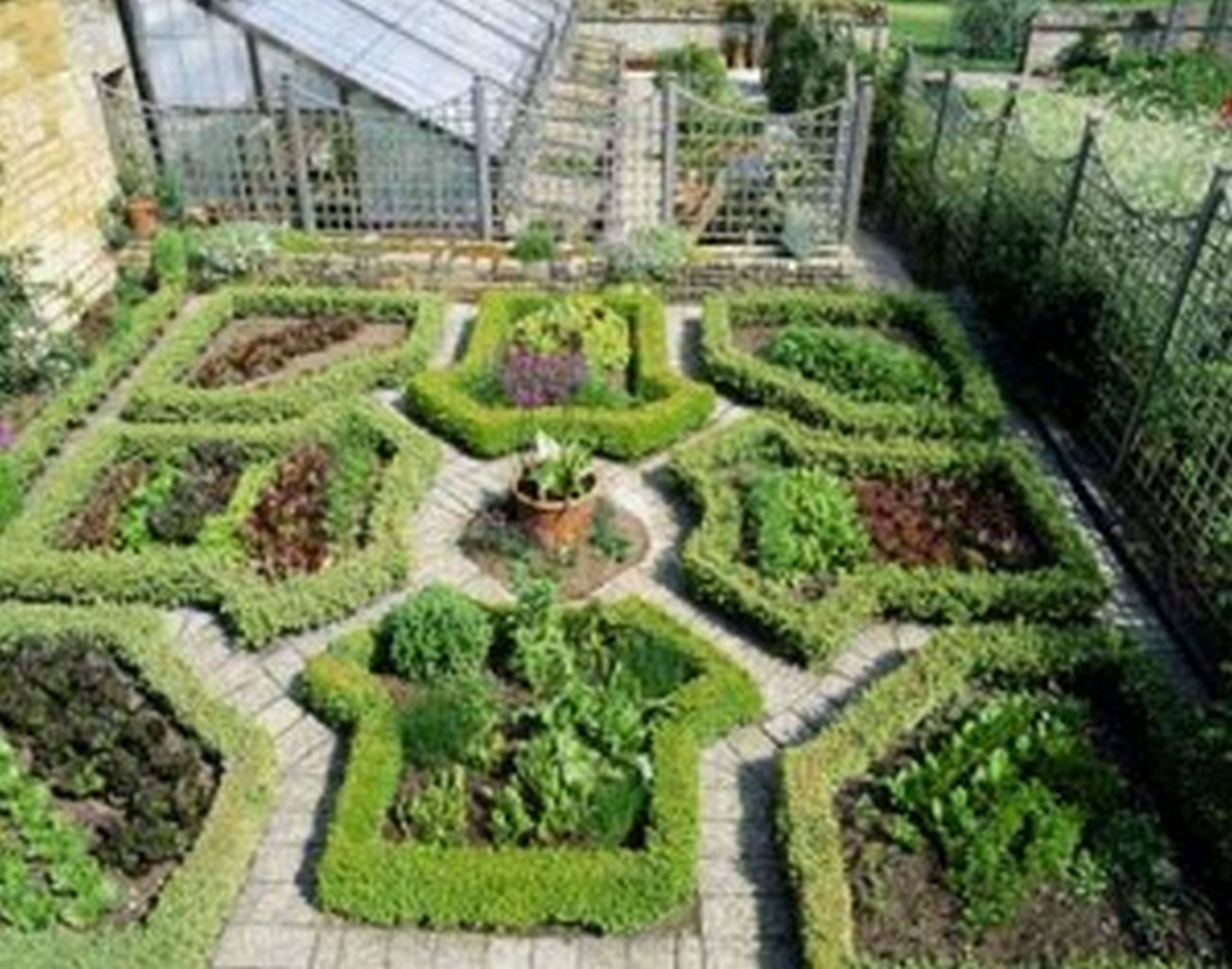 Best Edible Garden Ideas