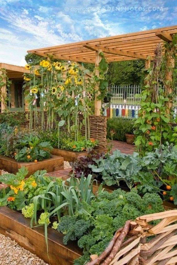 Best Edible Garden Ideas