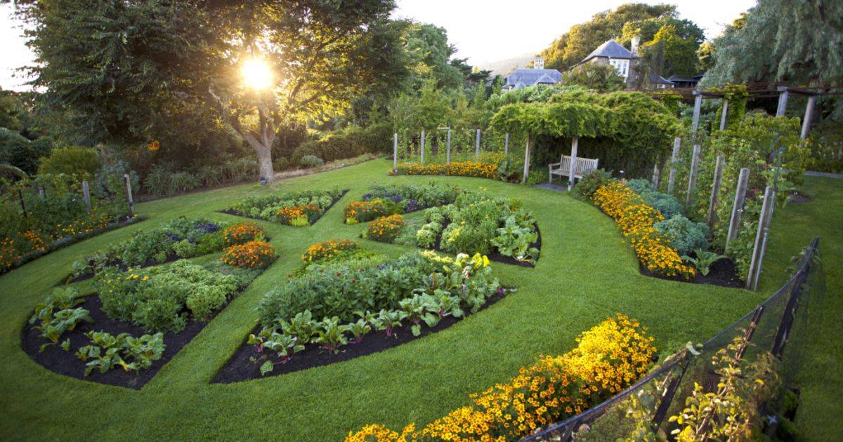 Vegetable Garden Design