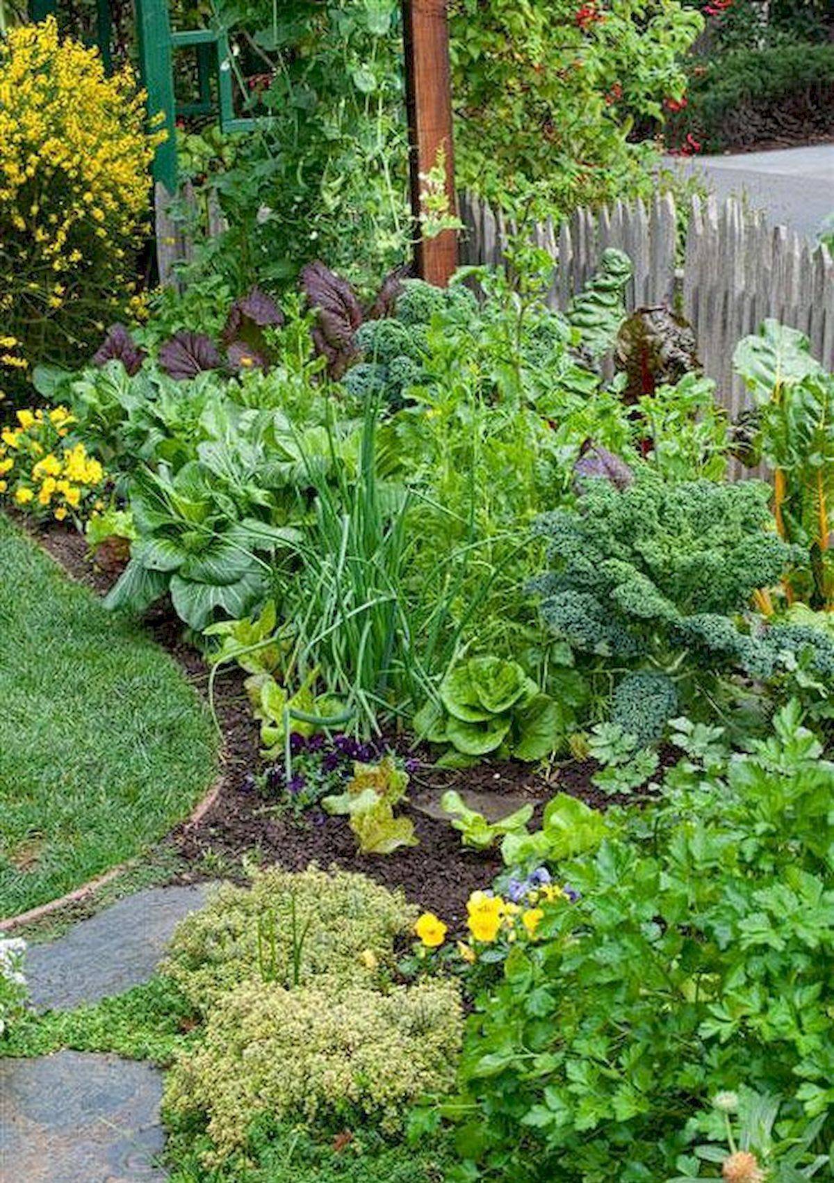 Edible Landscaping