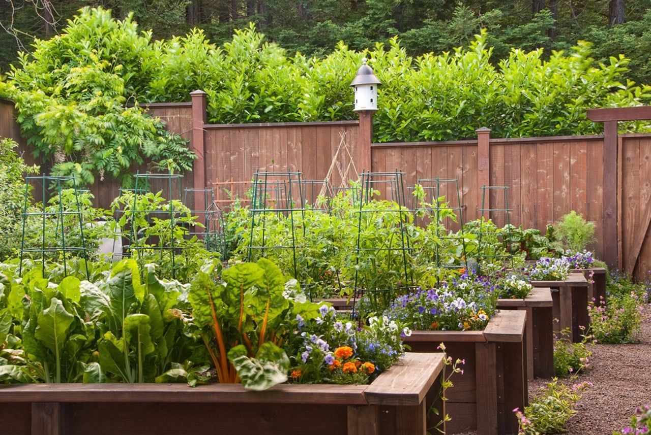 A Gorgeous Edible Garden Photos