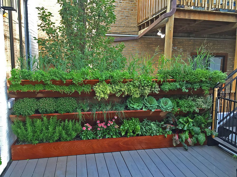 Backyard Edible Garden Ideas