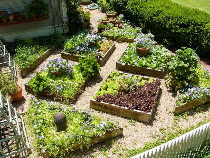 Backyard Edible Garden Ideas