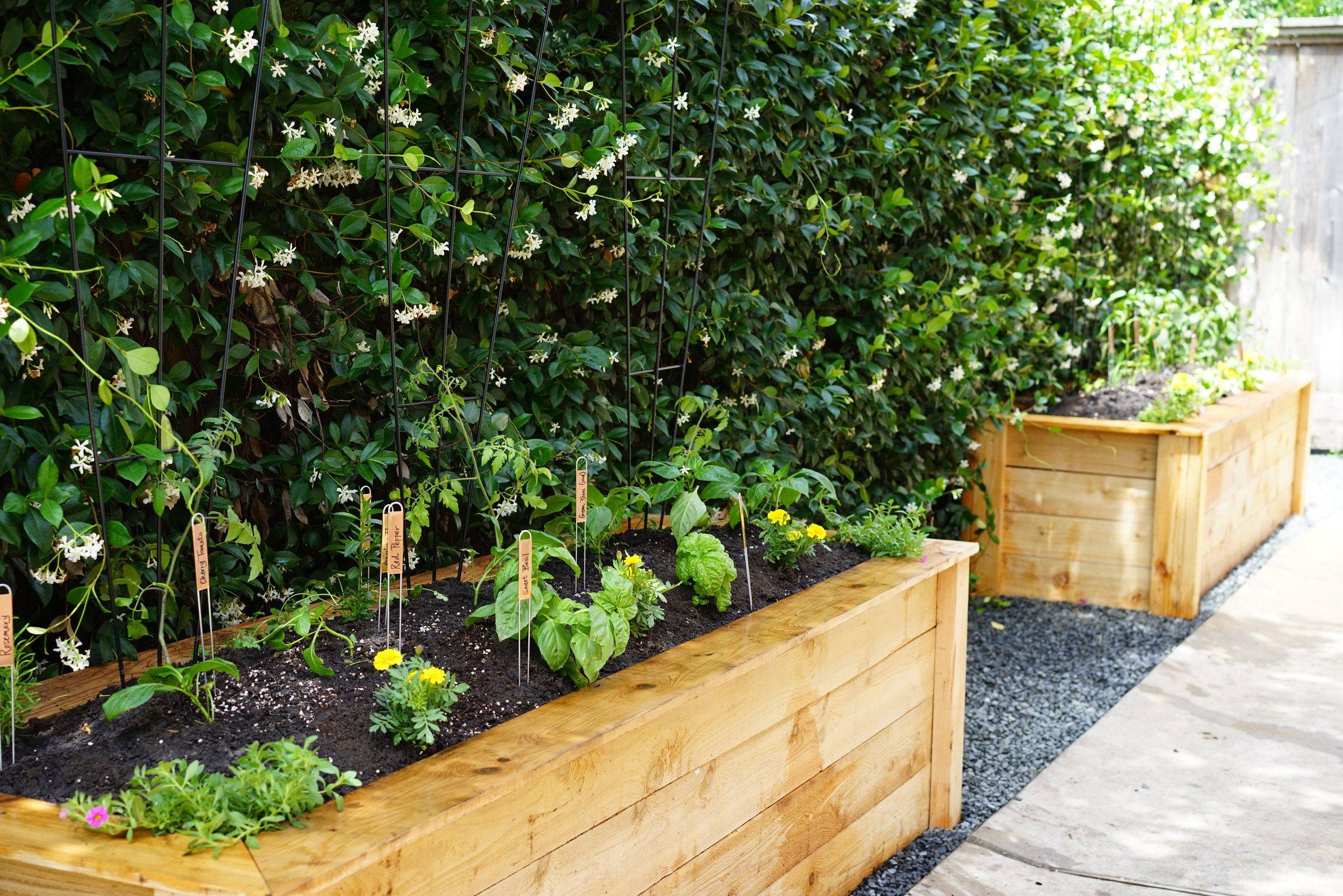 Raised Bed Kitchen Garden Design Ideas You Gonna Love Sharonsable