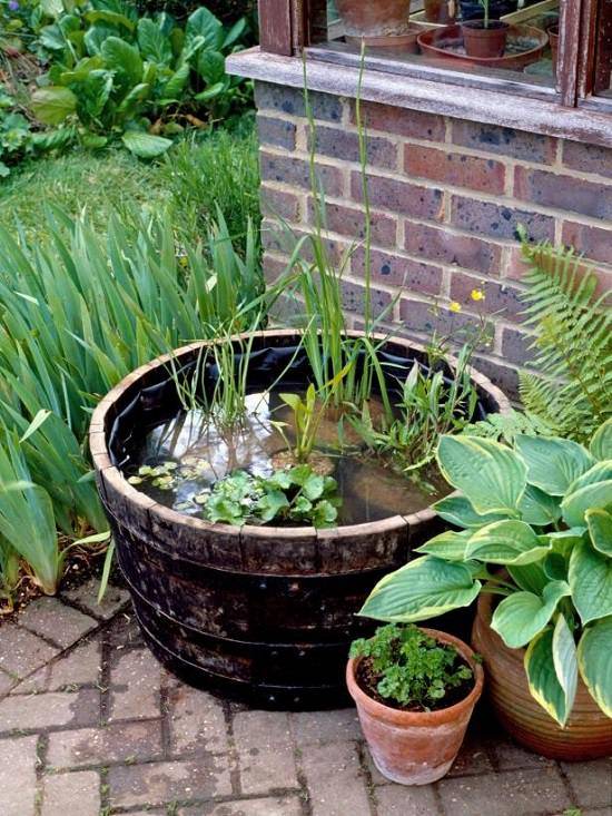 14 Container Water Garden Ideas To Consider | SharonSable