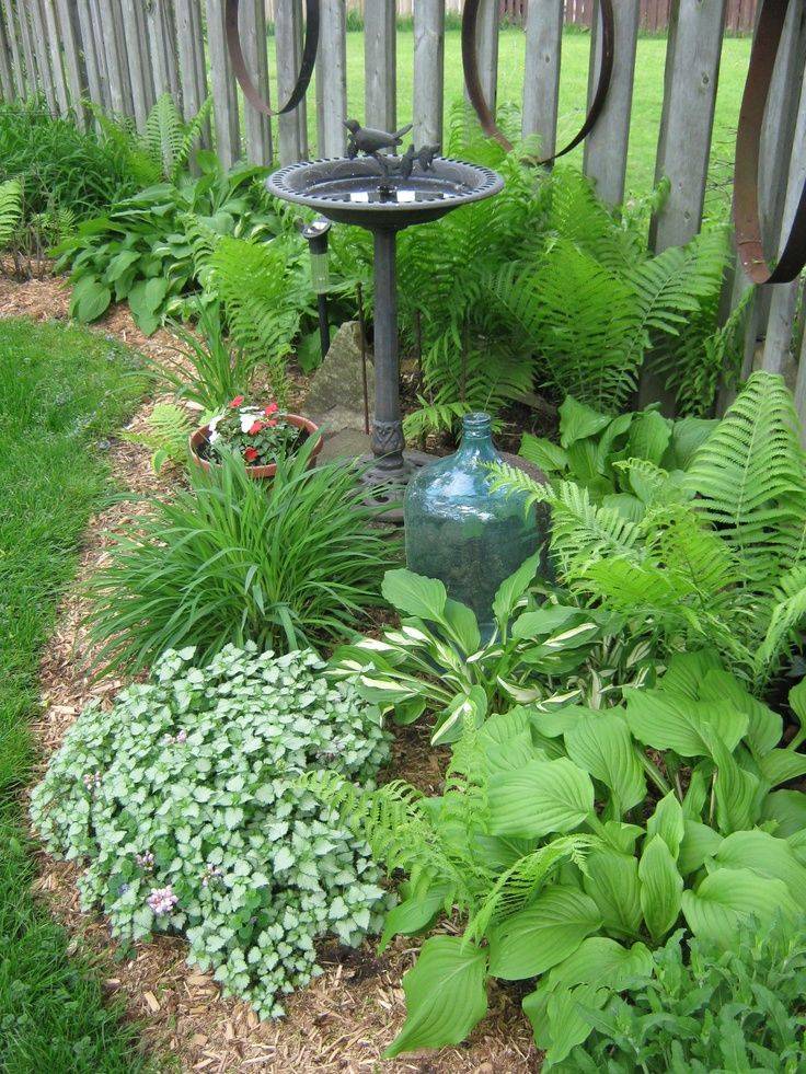 23 Partial Shade Garden Ideas For This Year | SharonSable