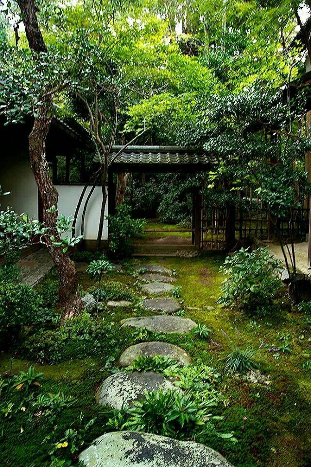 22 Japanese Moss Garden Design Ideas To Consider | SharonSable