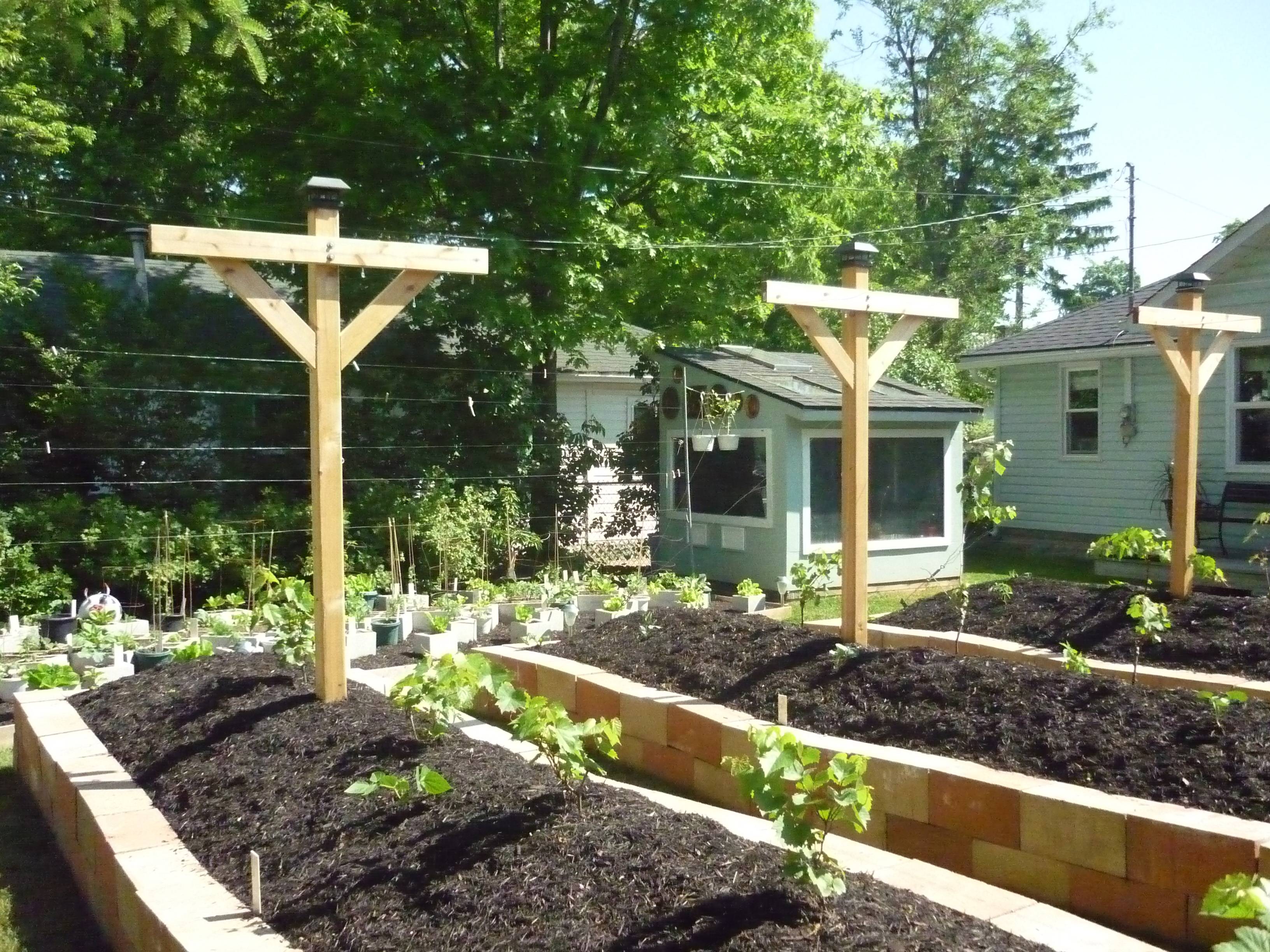 21 Permaculture Garden Beds Ideas Worth A Look Sharonsable