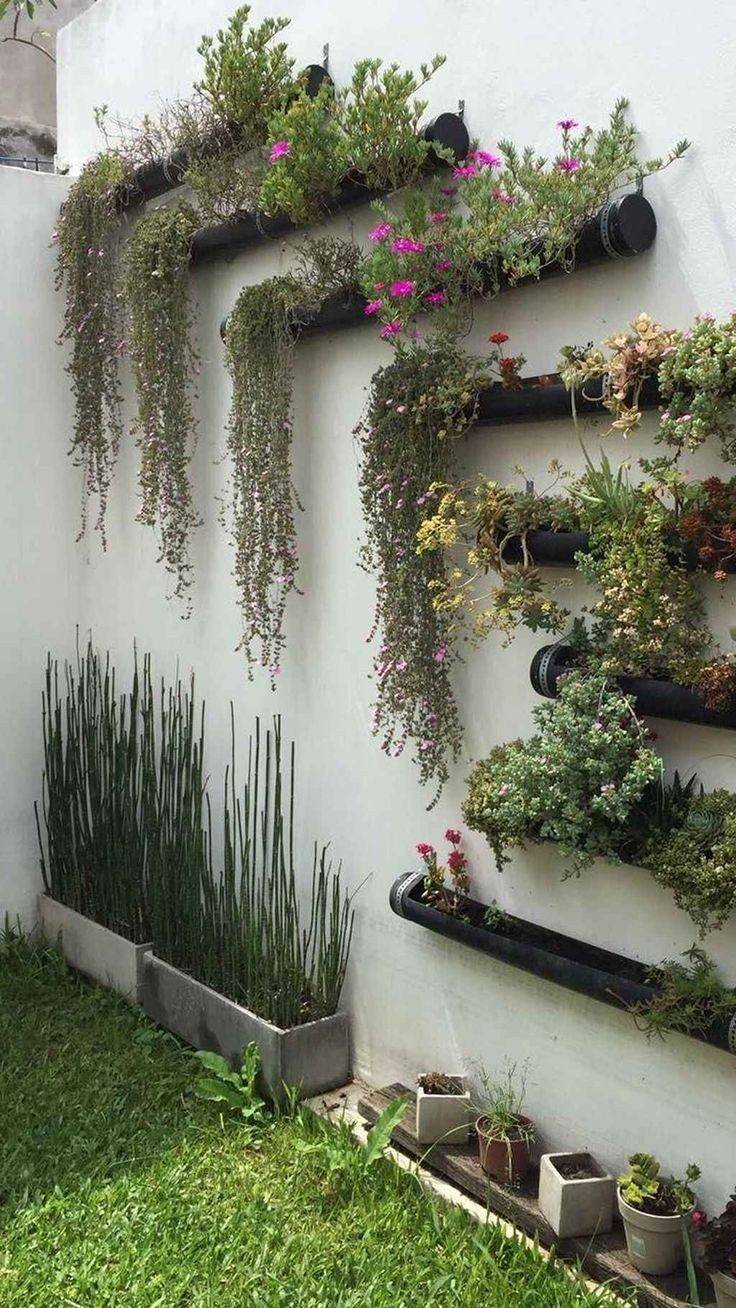 8 Vertical Garden Wall Ideas for Space-Saving Solutions