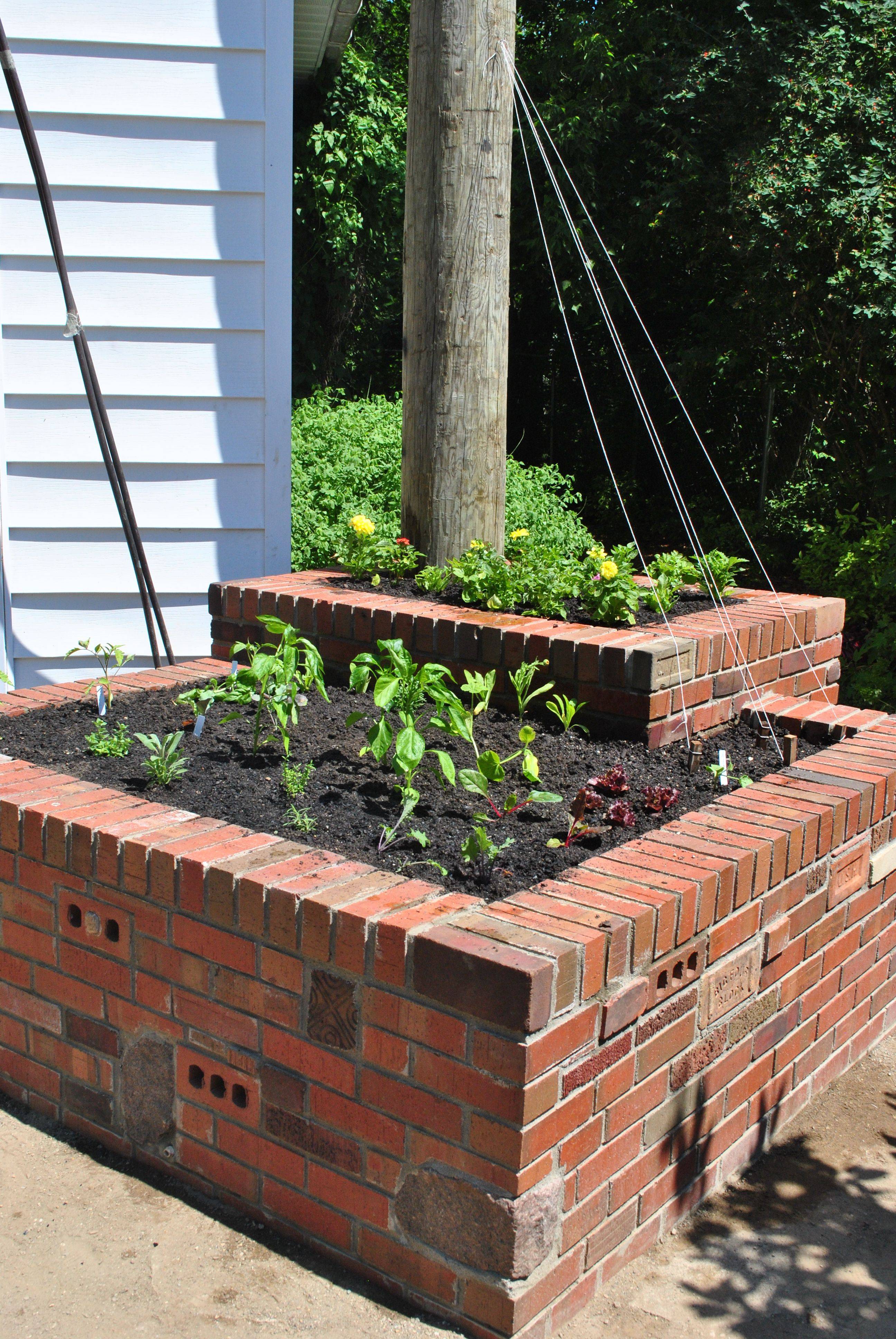 25 Brick Raised Bed Vegetable Garden Ideas You Should Check | SharonSable