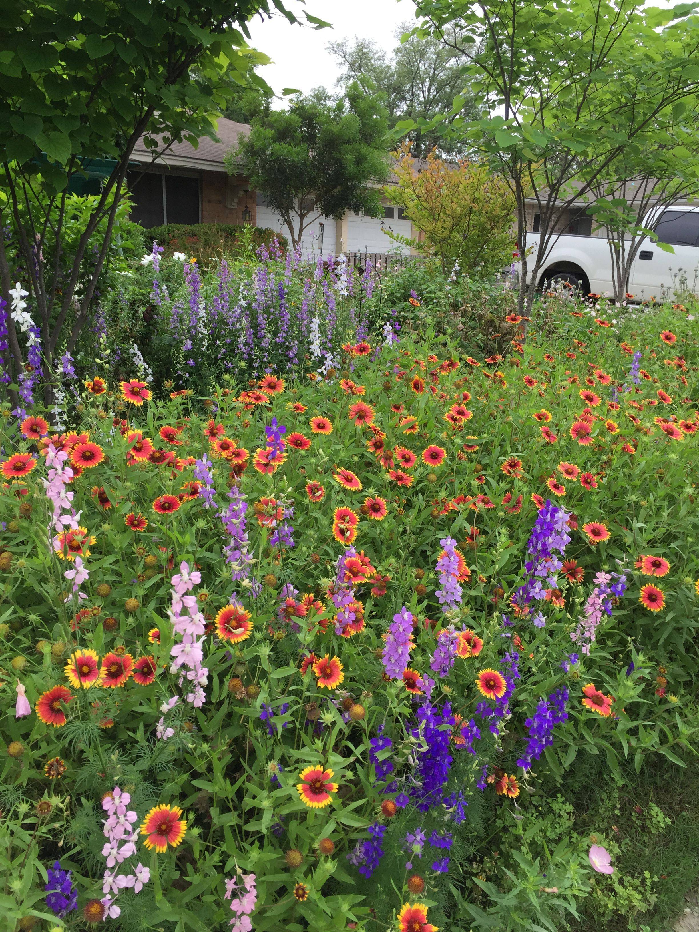 23 Wildflower Garden Design Ideas You Cannot Miss SharonSable