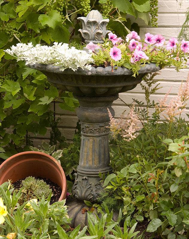 23 Bird Bath Flower Garden Ideas For This Year | SharonSable