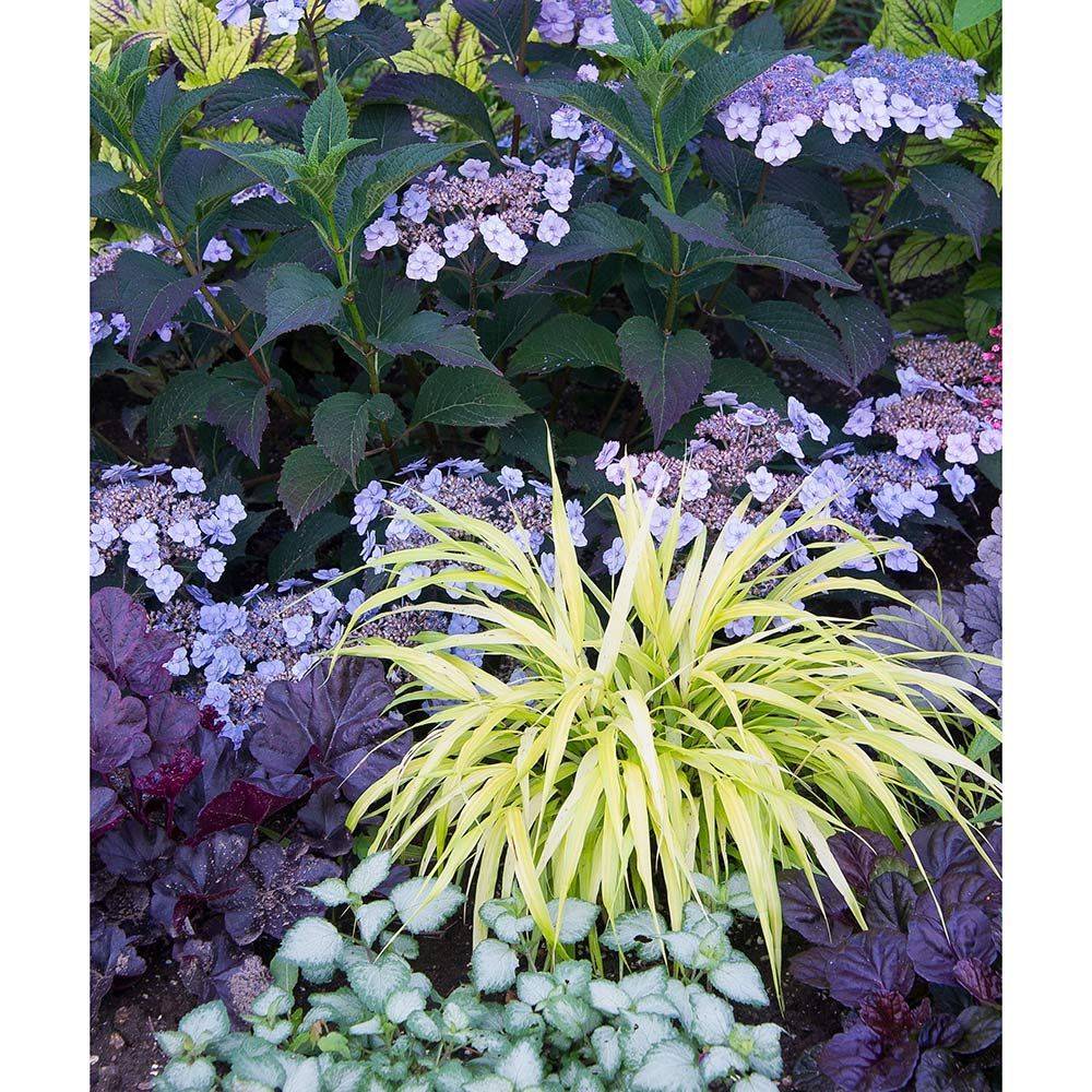 20 Perennial Shade Garden Design Ideas You Gonna Love | SharonSable