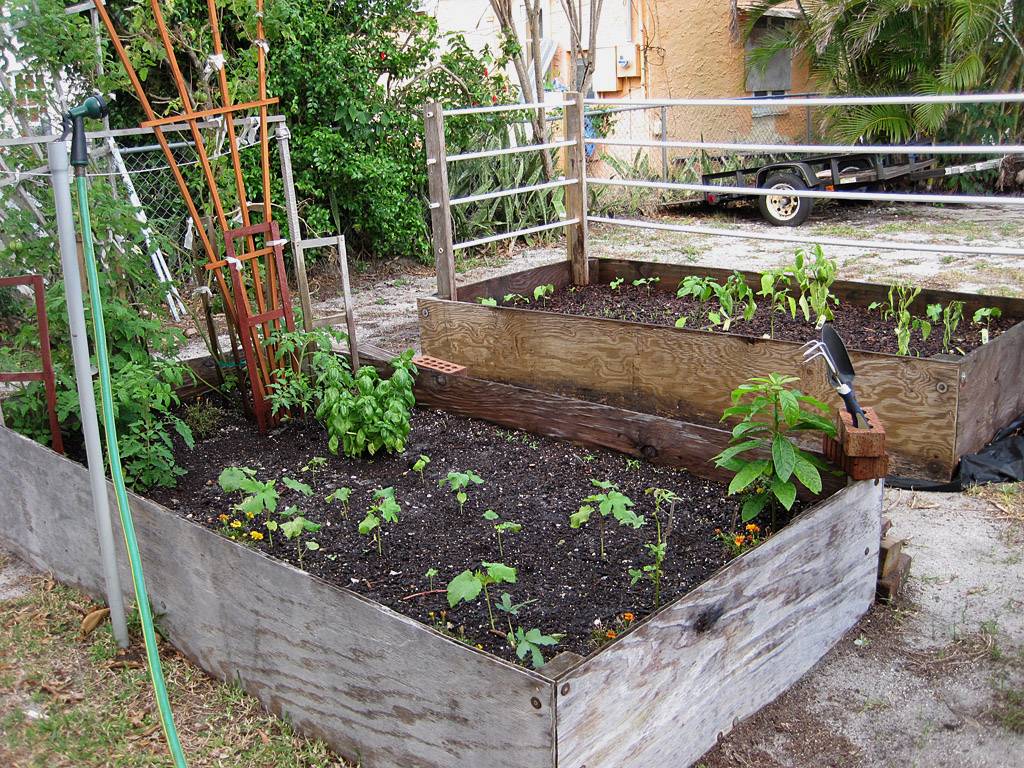 23 Above Ground Vegetable Garden Ideas Worth To Check Sharonsable