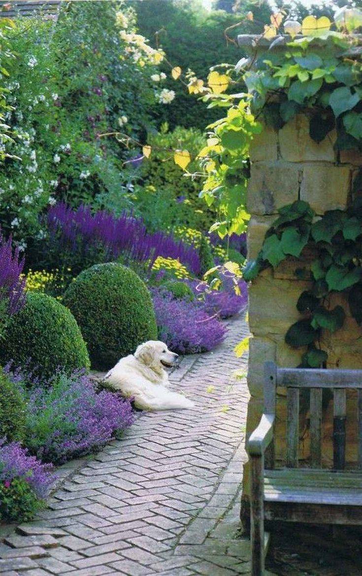 22 Cozy Garden Ideas You Cannot Miss | SharonSable