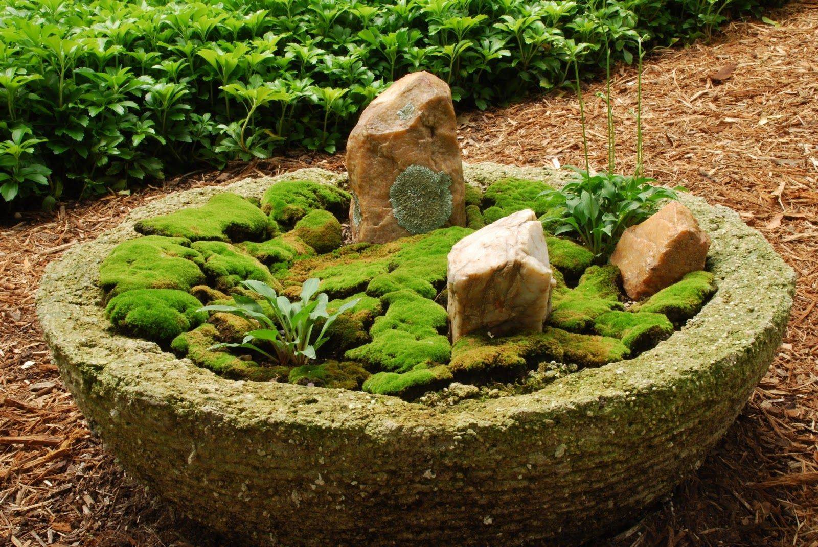 22 Moss Garden Ideas You Must Look | SharonSable