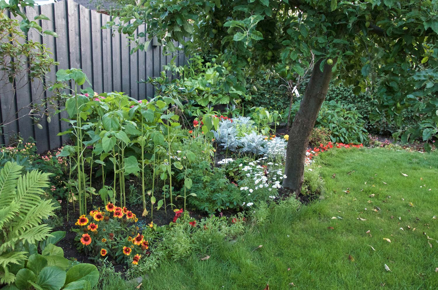 18 Messy Garden Ideas You Should Check | SharonSable