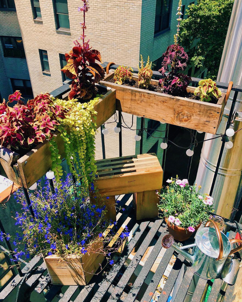 A lush balcony garden in an urban area with various plants in pots and vertical planters