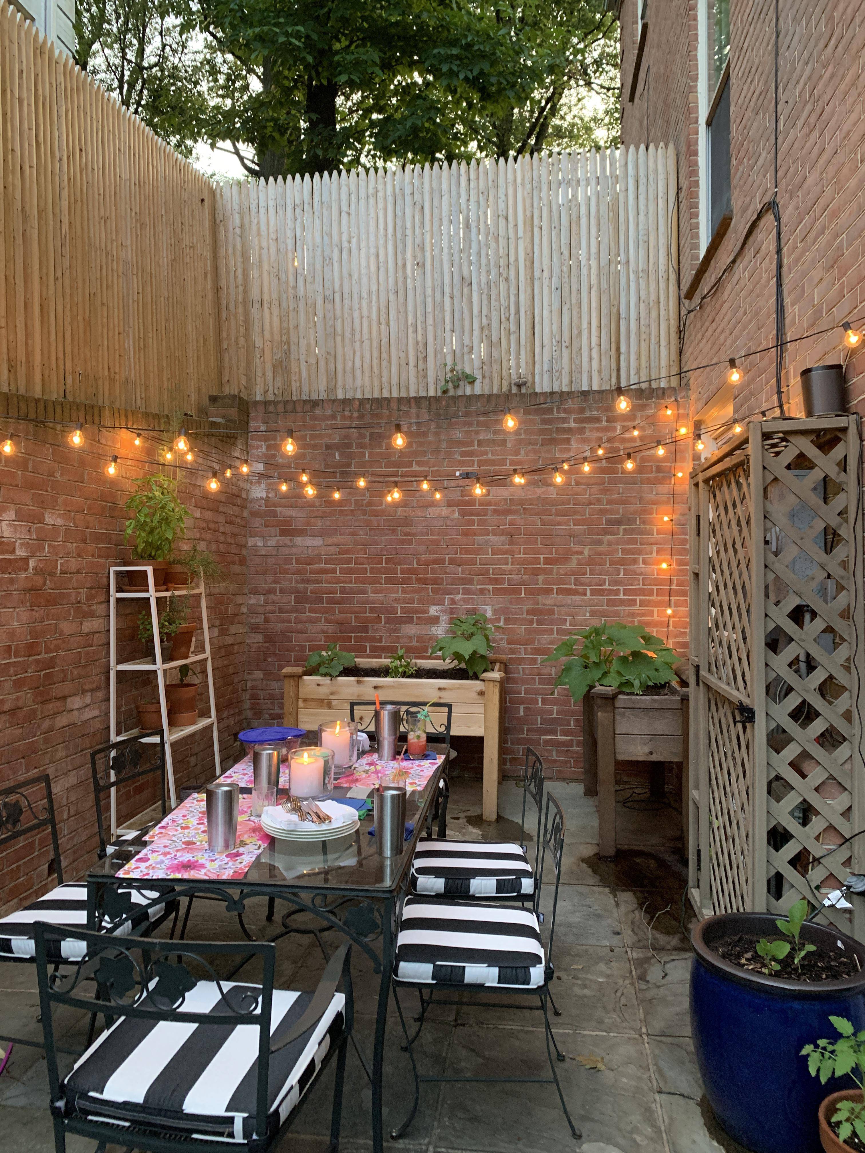 19 Basement Garden Ideas To Try This Year | SharonSable