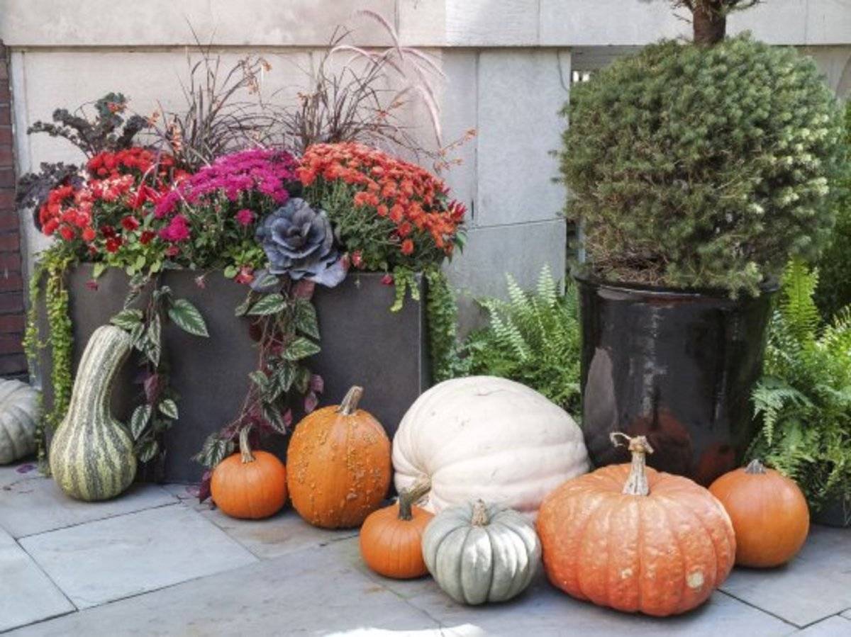 16 Fall Garden Ideas You Should Check Sharonsable