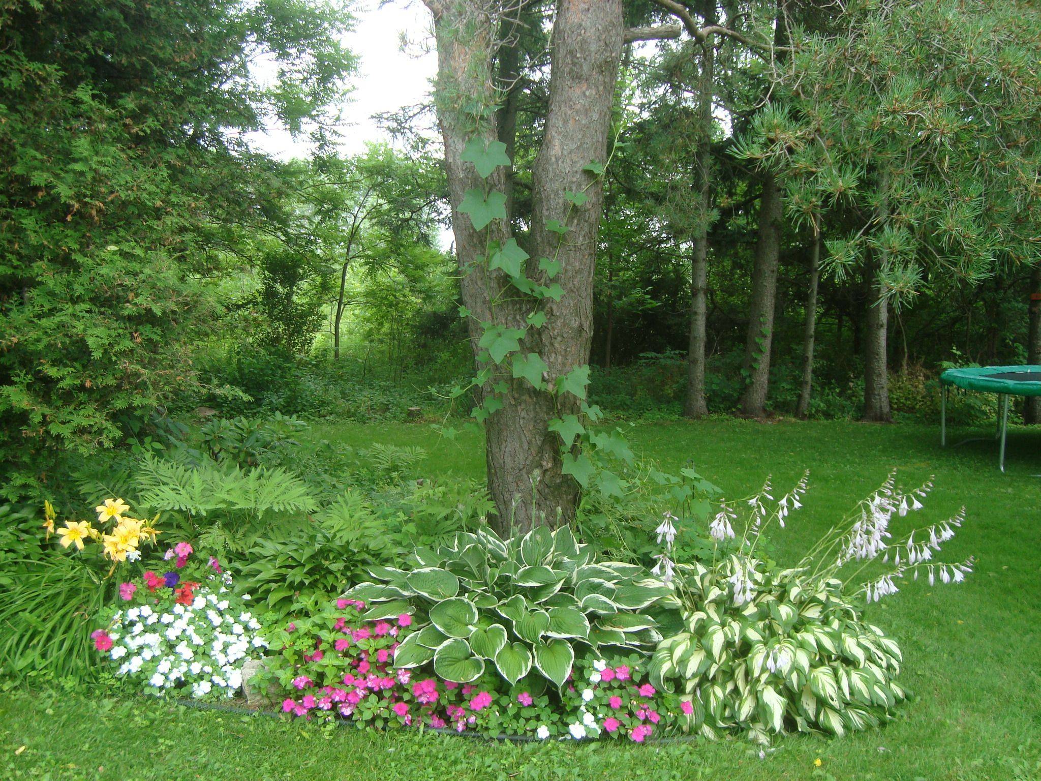 Shade Garden Landscape Design Ideas You Should Check Sharonsable