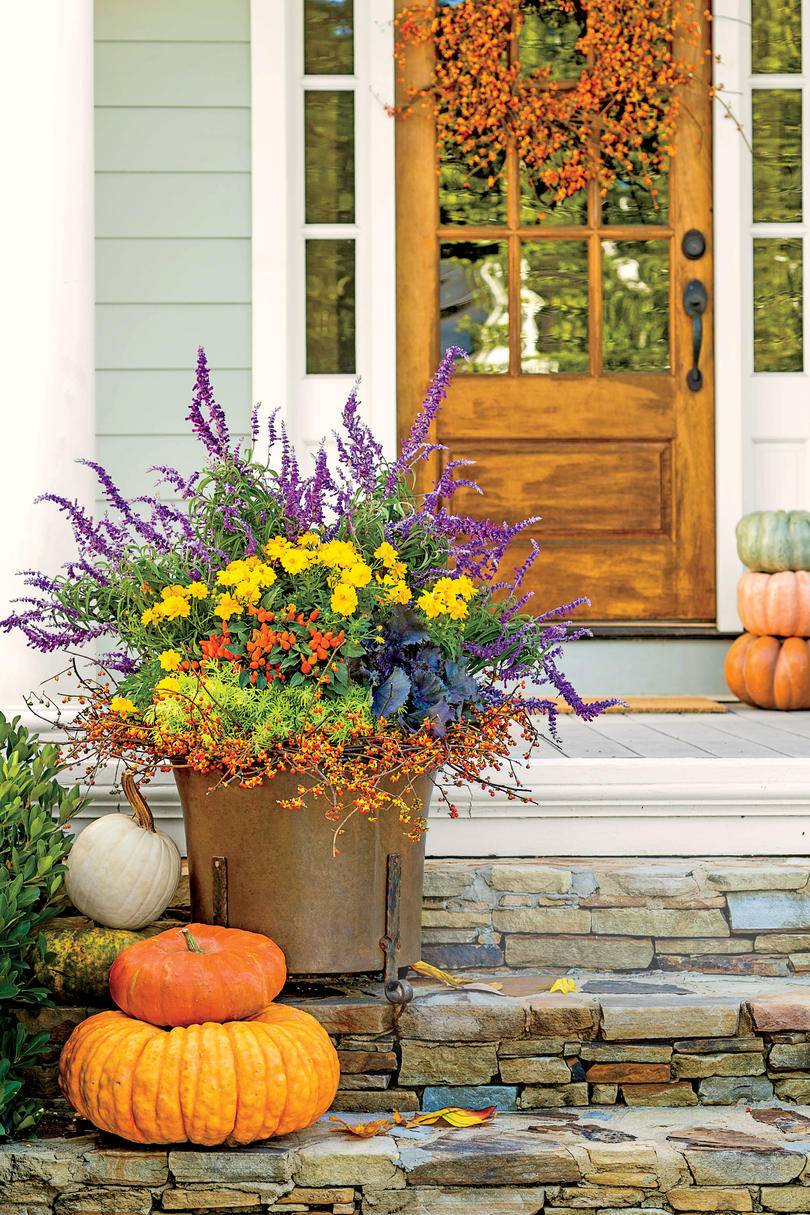 13 Fall Gardening Ideas To Try This Year | SharonSable