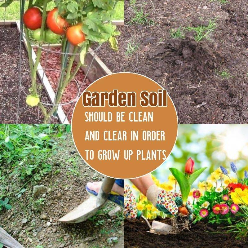 20 Vegetable Garden Fertilizer Ideas To Consider | SharonSable