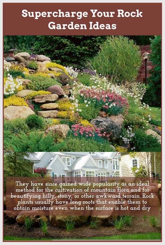 Amazing Low Water Landscaping Ideas