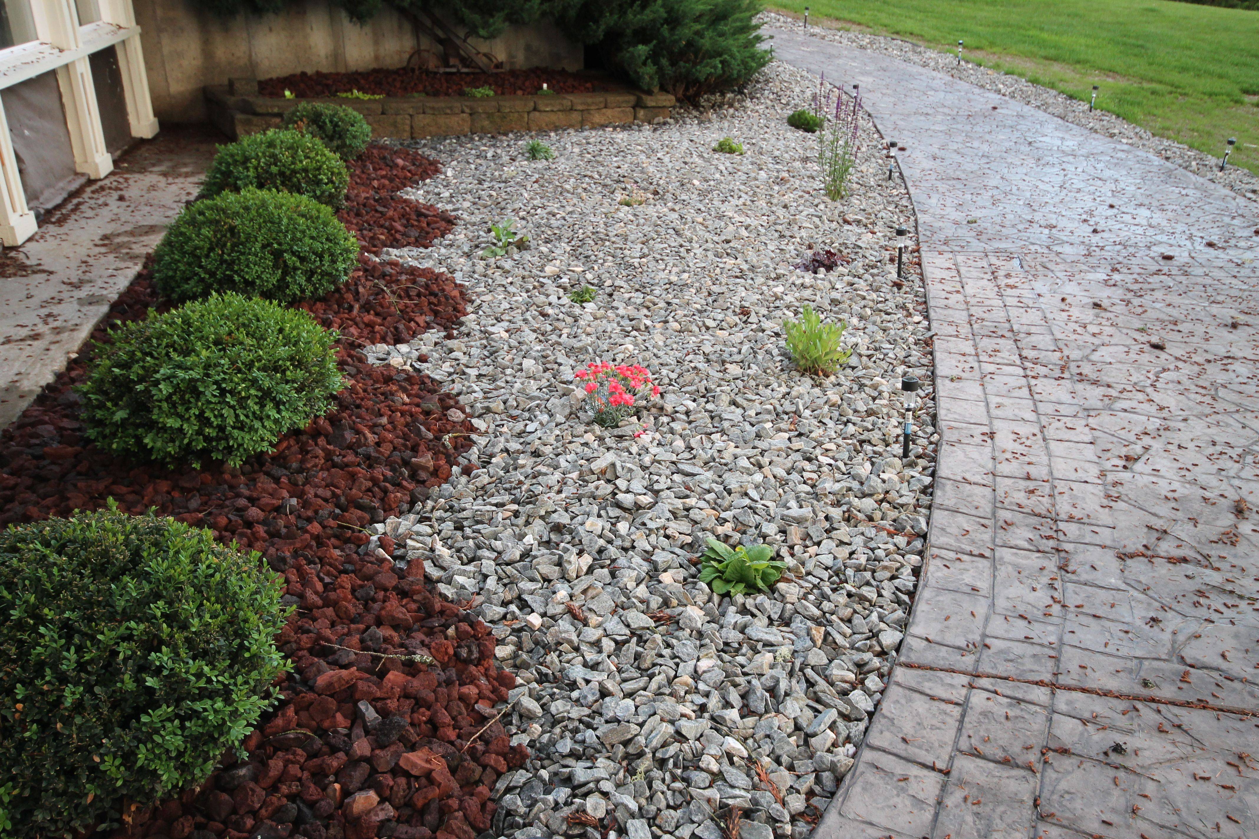 10 Low Maintenance Rock Garden Ideas You Should Check | SharonSable