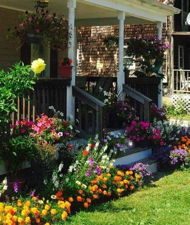 Flower Planters Ideas