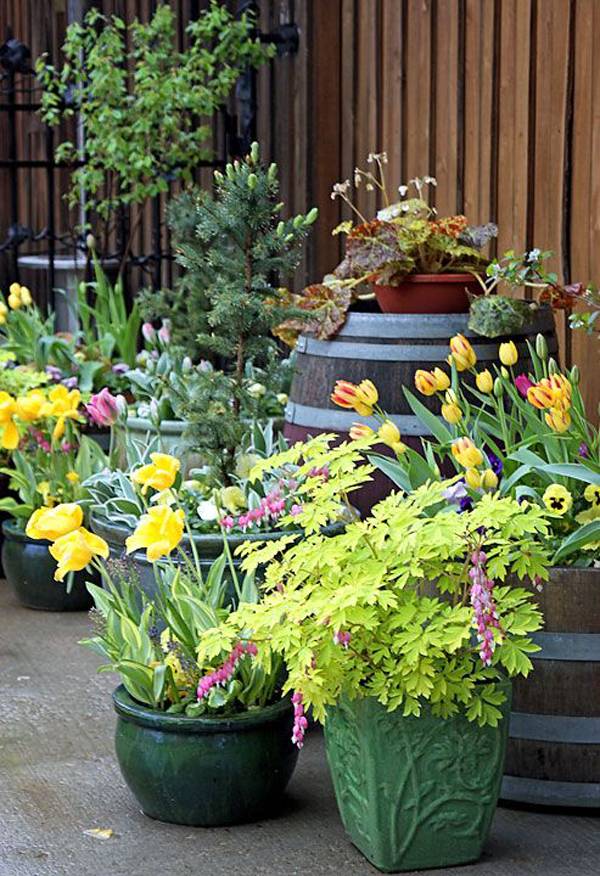 20 Small Container Garden Ideas You Cannot Miss | SharonSable