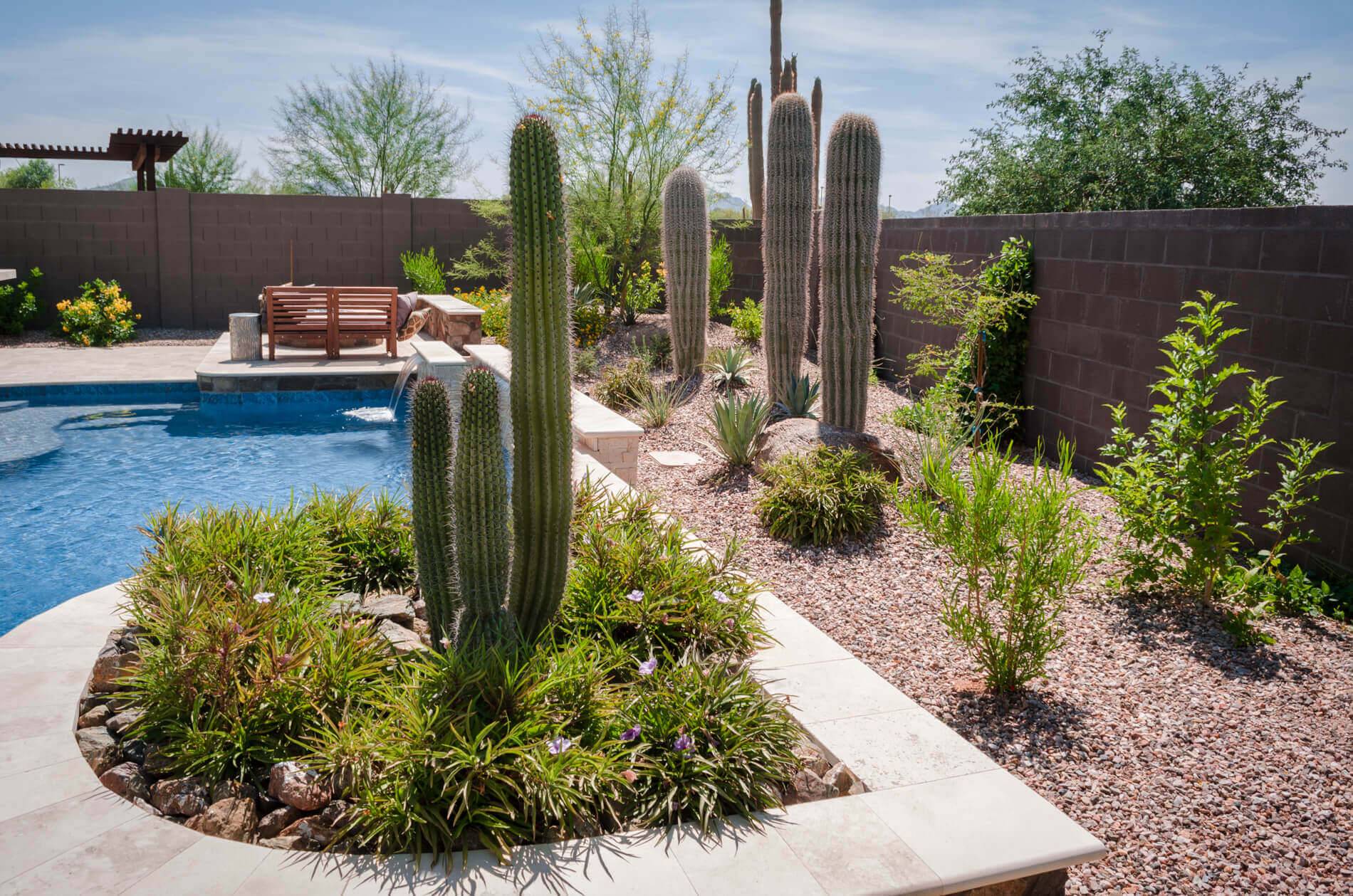 19 Desert Garden Ideas You Should Look Sharonsable