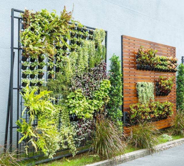 Your Own Green Wall Vertical