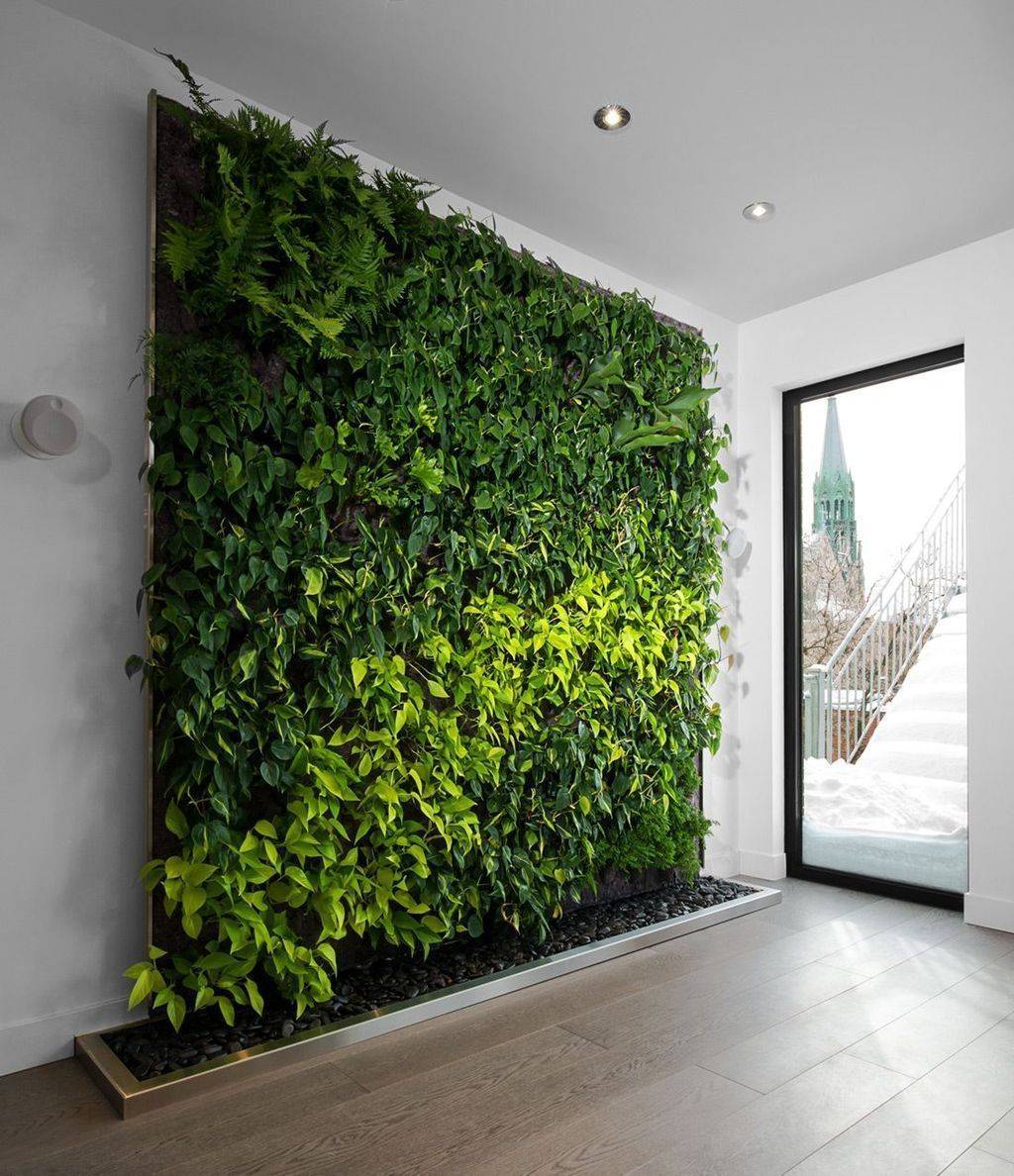 Cool Vertical Garden Walls