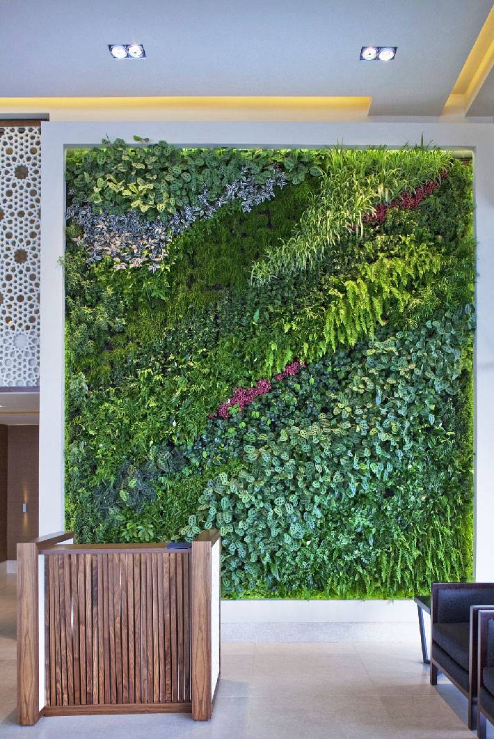 Amazing Vertical Garden Ideas