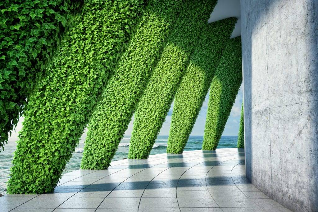 Applicative Green Wall Garden Designs