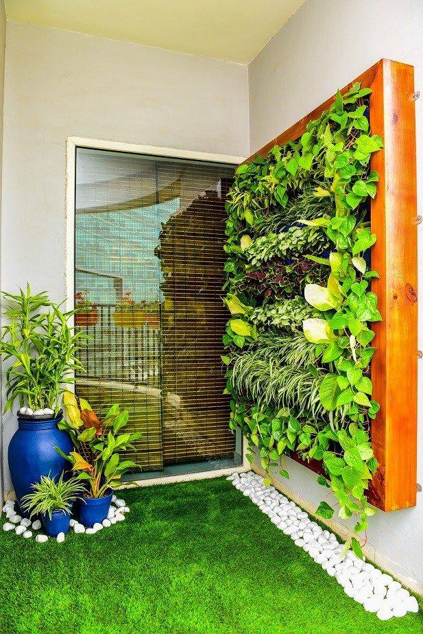 Vertical Garden Screen Indoor Plant Wall