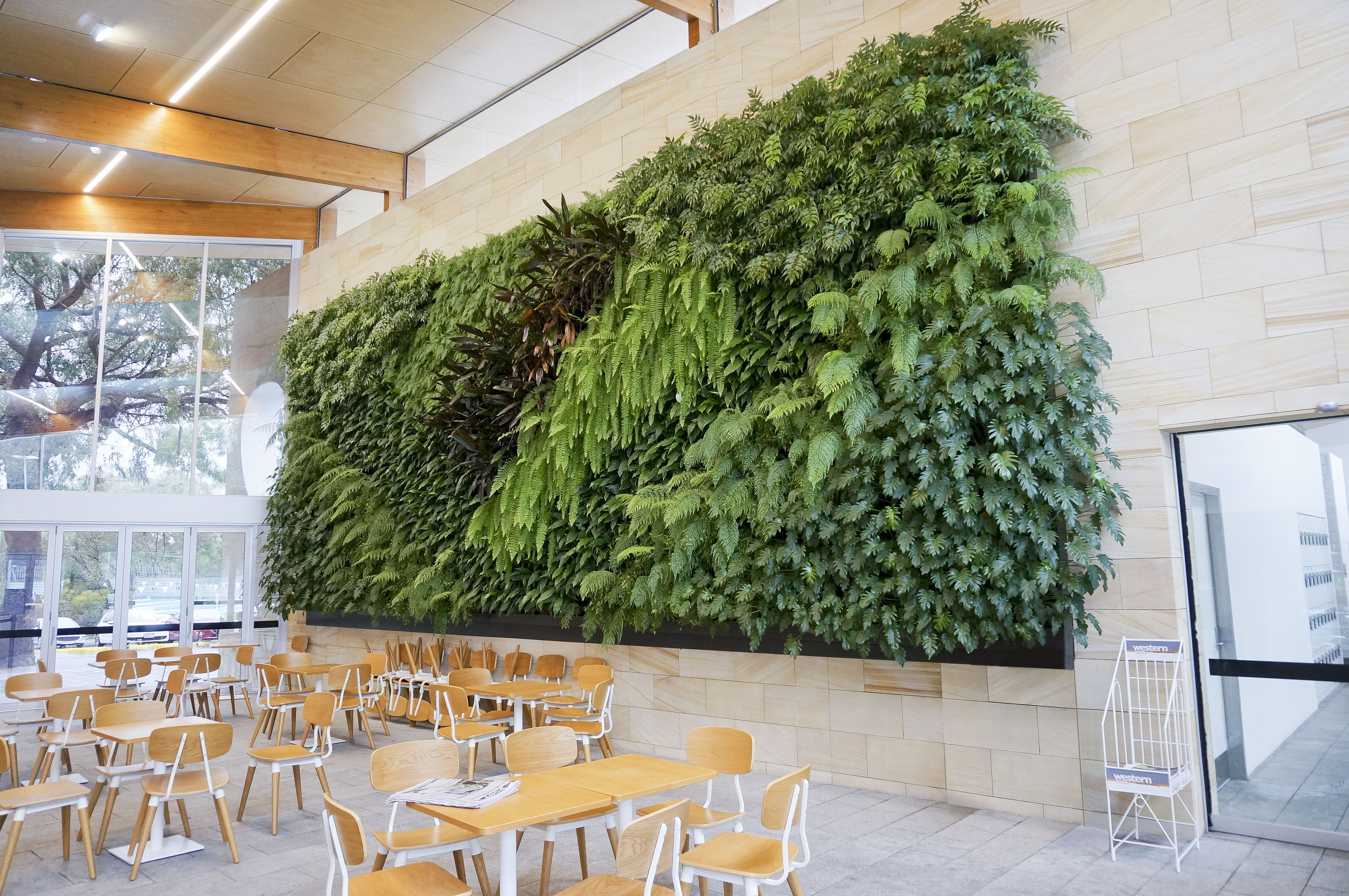 Most Amazing Living Wall And Vertical Garden Ideas Foxy Oxie