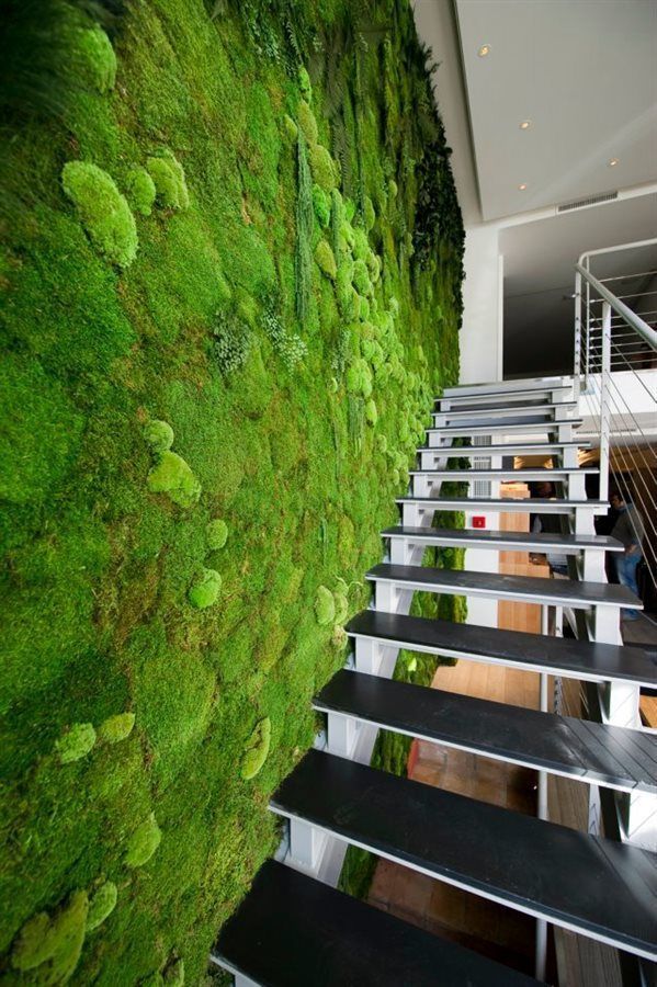 Vertical Wall Garden