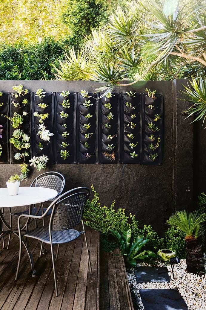 Vertical Wall Garden