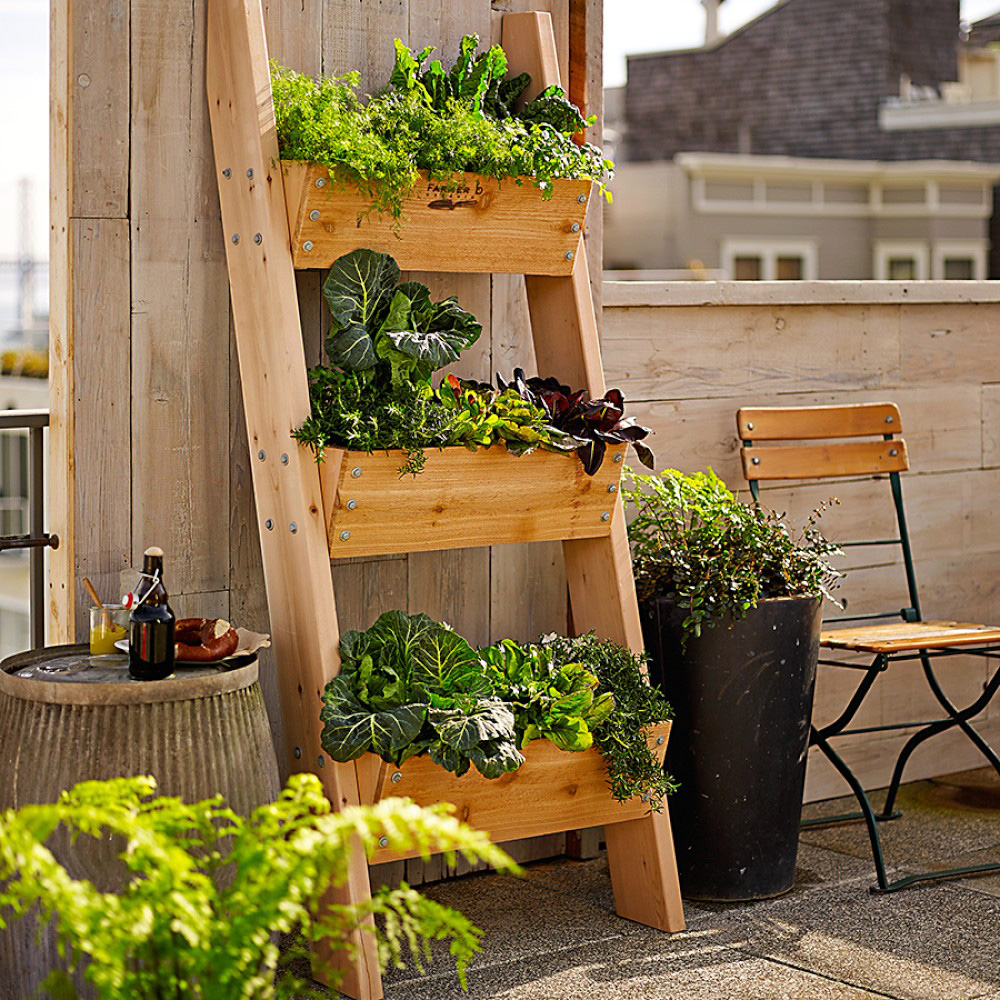 Wall Garden Design