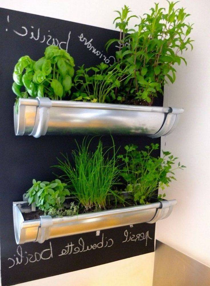 21 Hydroponic Wall Garden Ideas You Must Look | SharonSable