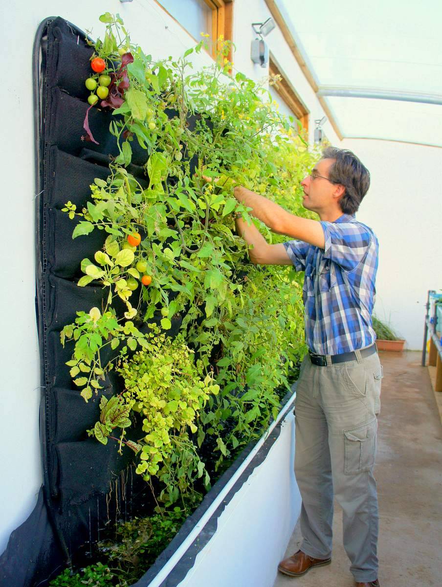 Best Hydroponic Garden Ideas