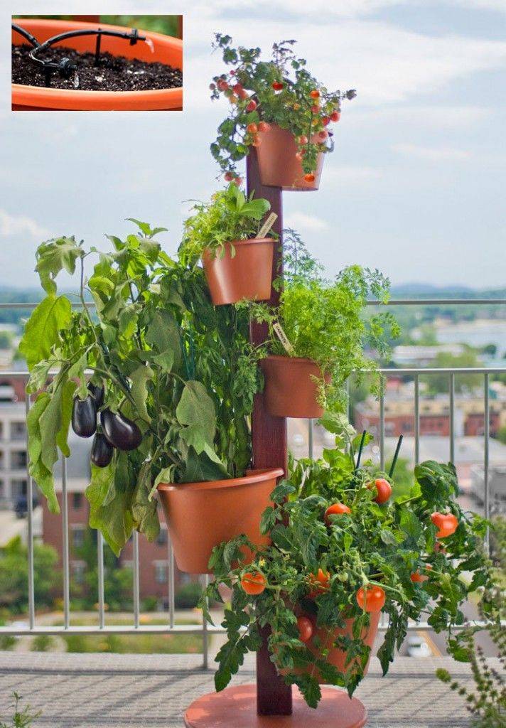 Inspiring Vertical Garden Ideas